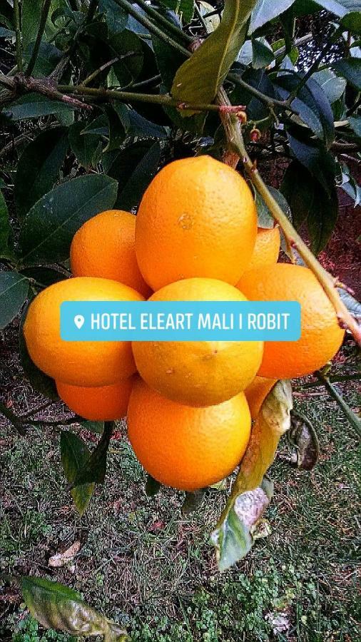 Eleart Aparthotel Golem  Luaran gambar